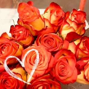 Meet your Posher, Nikki